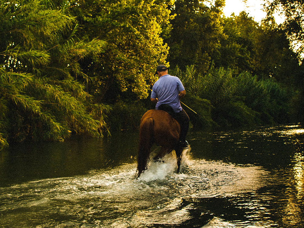 horseback-riding-1000x750