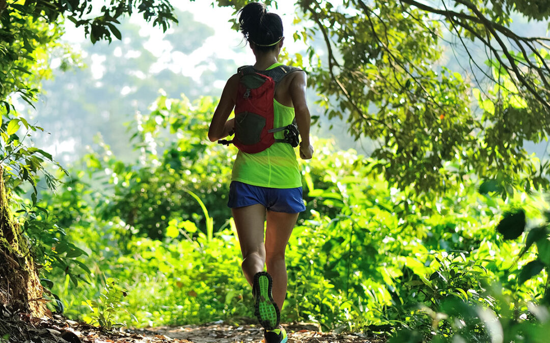 Hiking Trails in La Fortuna: From Novice to Nature Enthusiast